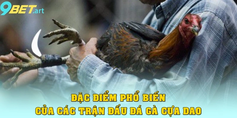 Đặc điểm phổ biến của các trận đấu đá gà cựa dao